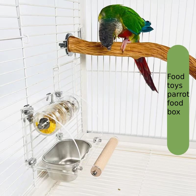 Parrot Splash-proof food box, Foraging toys