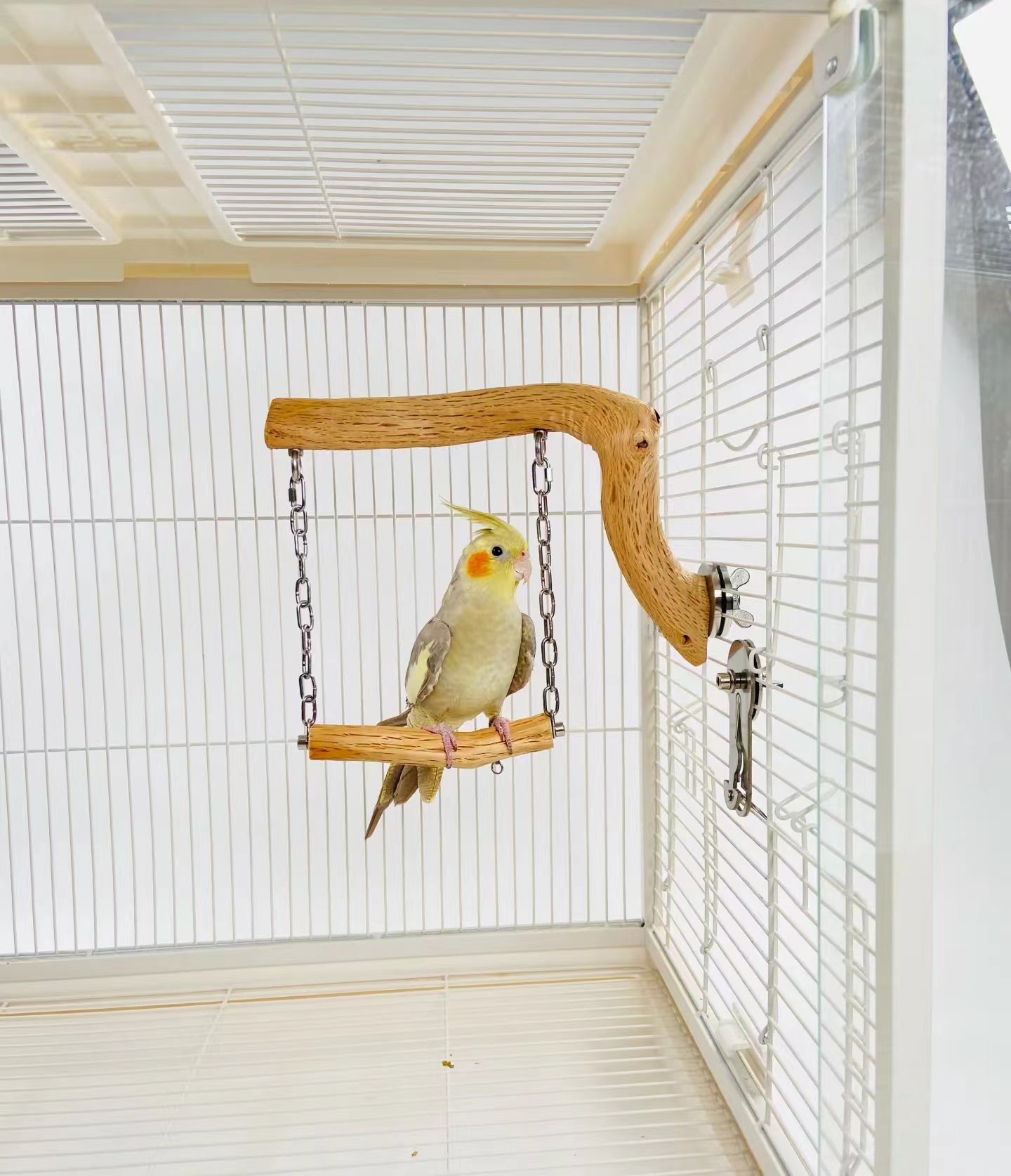 Parrot customized wild pear wood swing pole