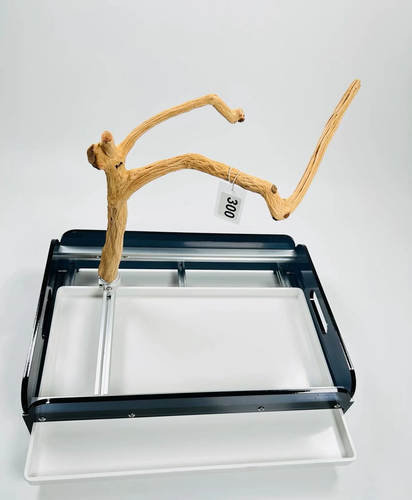 Acrylic version of wild pear wood parrot stand